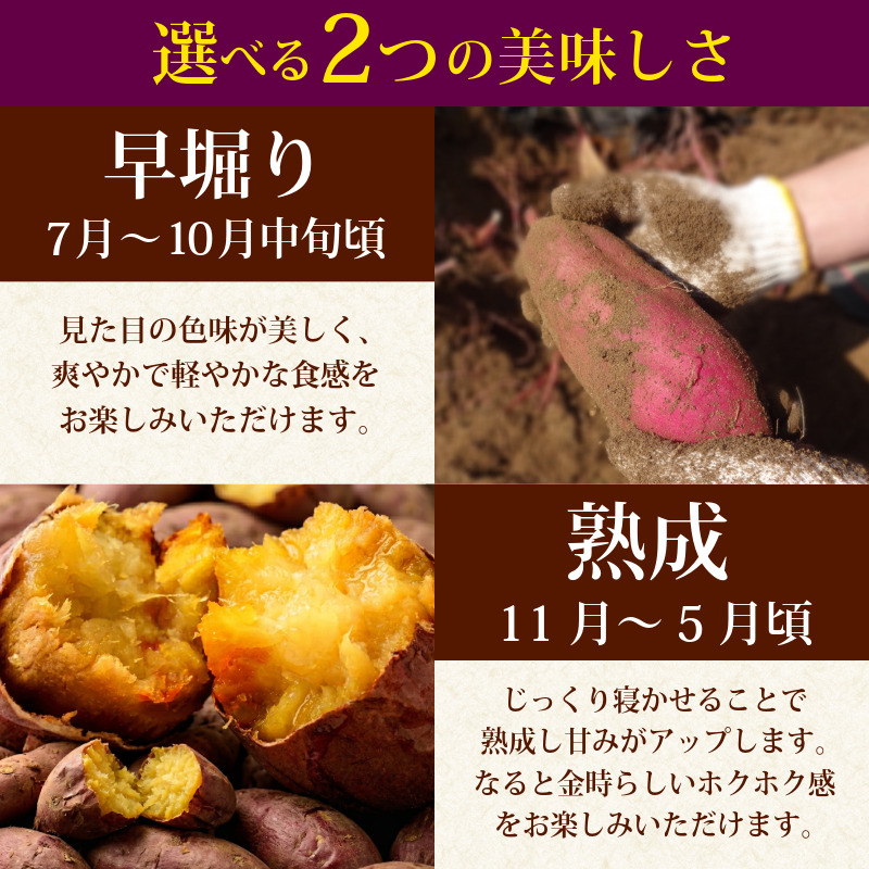 訳あり なると金時 5kg 熟成 さつまいも 鳴門金時 いも 芋 焼き芋 干し芋 スイーツ 貯蔵庫 熟成いも 国産 お土産 徳島 鳴門 