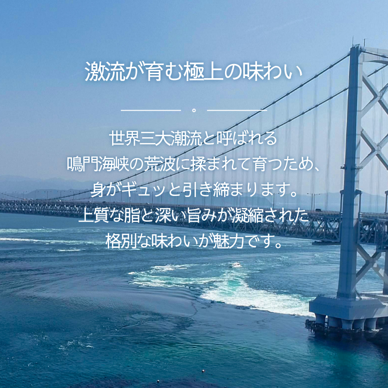 å¹²ç© 9æ é å¹²ç© å¹²ãç© ã»ãã å¹²ç©ã»ãã é¯ é³Žéé¯ å€©ç¶ å€©ç¶é¯ äžå€å¹²ã å·å æµ·é®® ãã€ãŸã¿ 鳎é 埳島 ã®ãã æ©ãã¯ã èŽãç© ãµãããšçŽçš éæç¡æ éä» éè² éã 人æ°