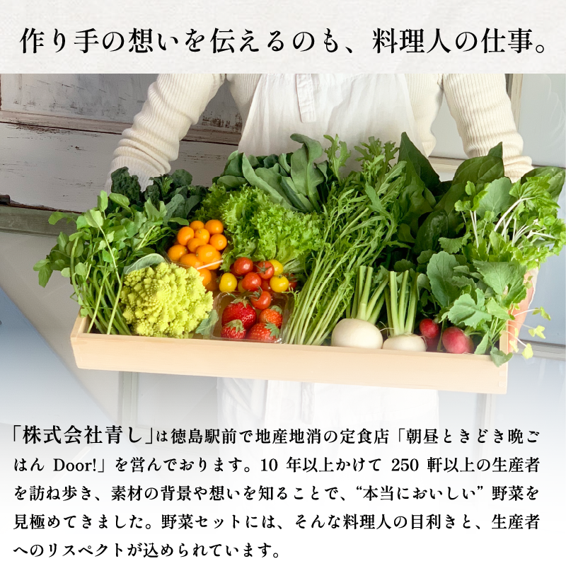 野菜 セット 9～10品 定期便 4回 季節 旬 野菜 詰め合せ 国産 季節 旬 おまかせ 産地直送 春野菜 夏野菜 秋野菜 葉物 果物 果菜 根菜 冷蔵 野菜室 ダイエット 食 栄養食 加工品 カット野菜