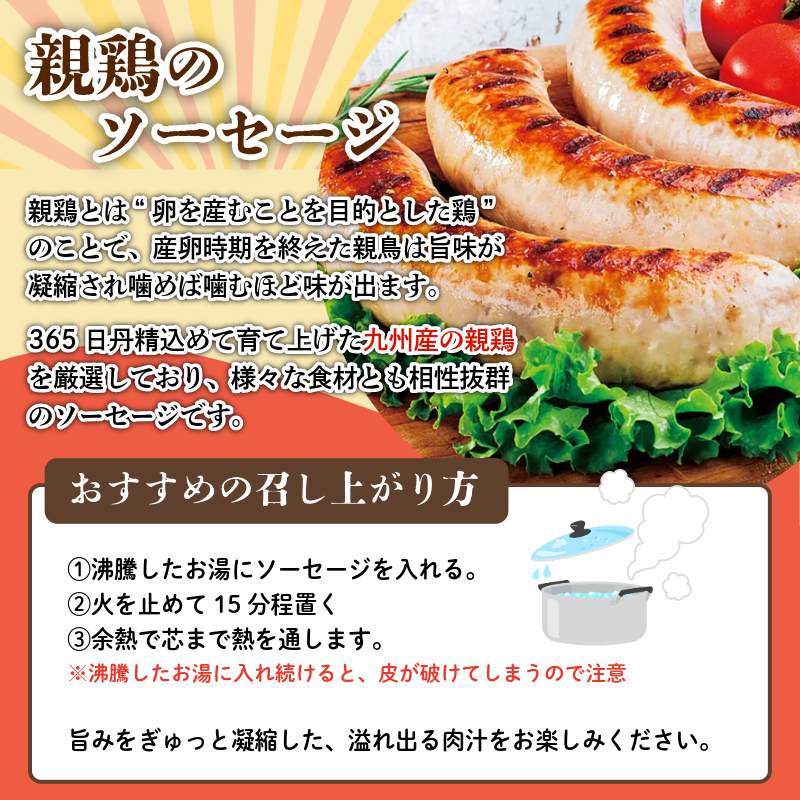 ããŒã³ã³ ãœãŒã»ãŒãž è©°ãåãã 4çš® ã»ãã é»äžå³ çæ çããŒã³ã³ ã¹ã©ã€ã¹ ãããã¯ èŠªé¶ ãœãŒã»ãŒãž ãœãŒã·ã¹ãã¥ã¡ è±è ç»è£œ æé£ ãåŒåœ ããã ãã€ãŸã¿ 埳島 CREAS