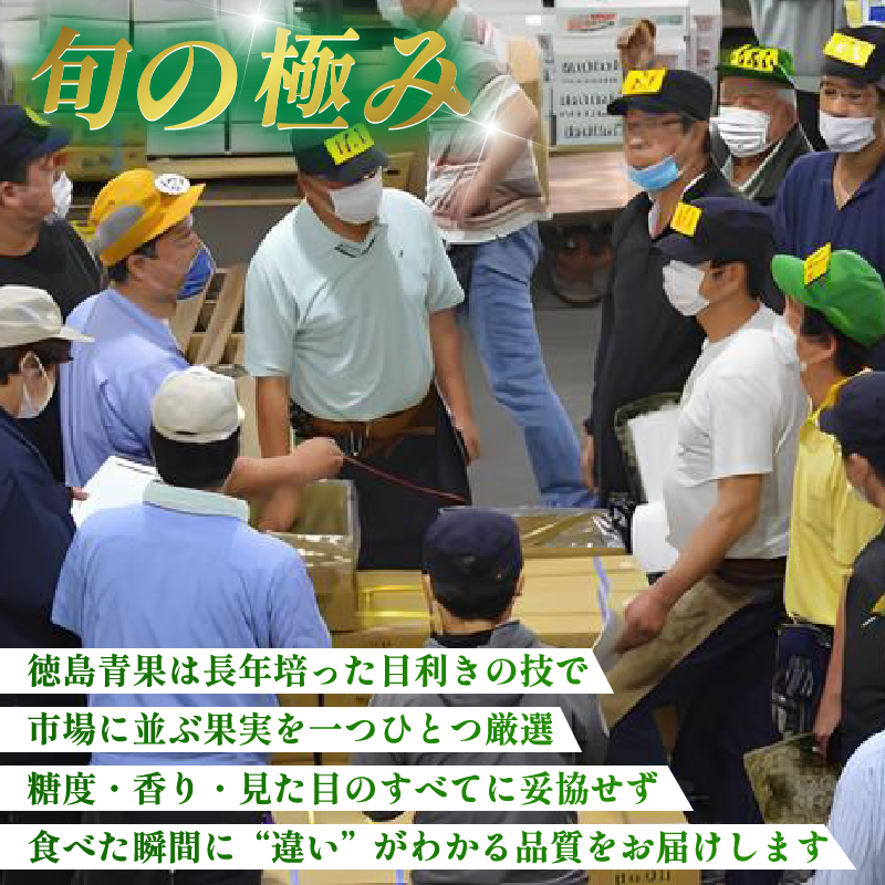 フルーツ 定期便 全3回 シャインマスカット ピオーネ デラウエア ぶどう 巨峰 ギフト 果物 夏 徳島県産 産地直送 新鮮 食べ比べ 3ヶ月