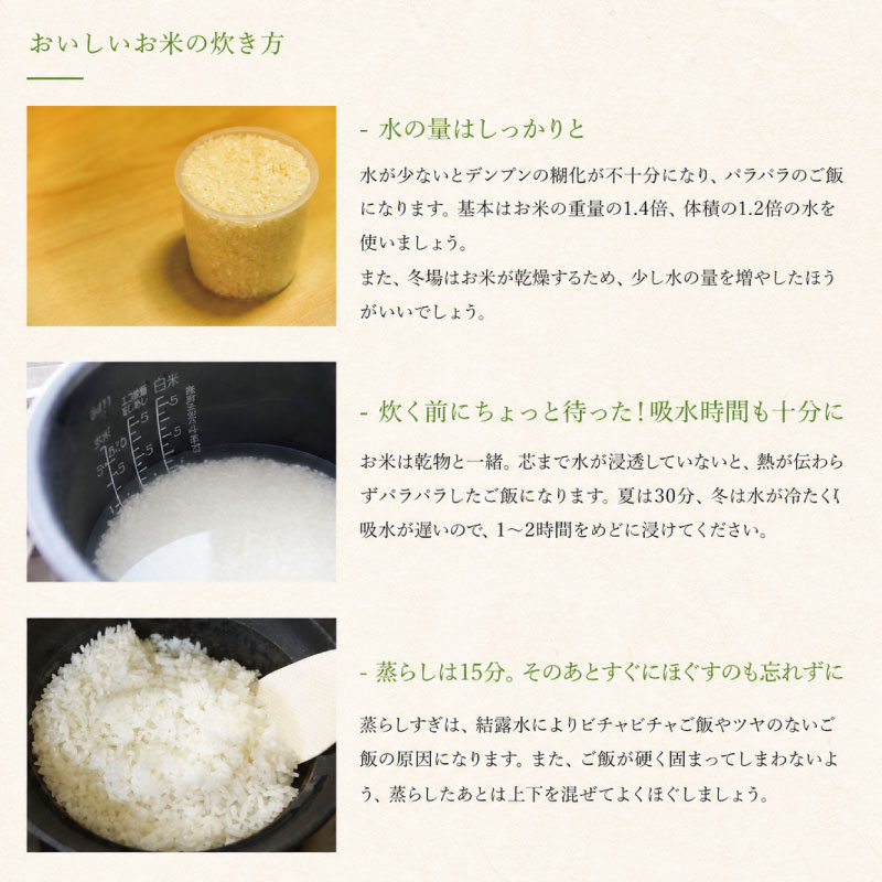 コシヒカリ 10kg 令和7年産 徳島県産 米 お米 国産 白飯 ご飯 精米 白米 こしひかり こめ コメ おこめ おむすび おにぎり 弁当 美味しい 徳島