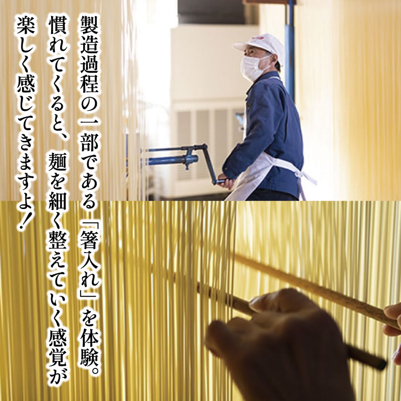 半田そうめん 工場見学 大人3名様 《 食べ比べ お土産 つき！ 》 チケット そうめん 箸入れ体験 生そうめん 試食 素麺 麺 家族 ファミリー 親子 旅行 観光 体験 徳島 つるぎ町