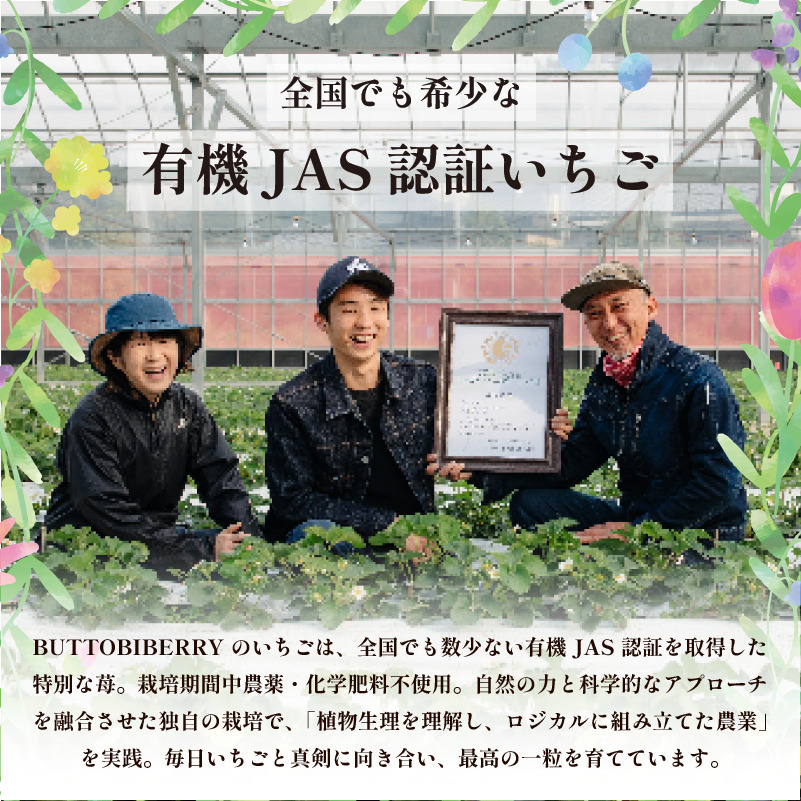 ãã¡ã ã¹ã ãŒãžãŒ ãããŒãºã³ 3å ãªãŒã¬ããã¯ èº ã¹ããããªãŒ ã¢ã€ã¹ ã·ã£ãŒããã ãã«ãŒã æç© ãã ãã® åœç£ æŽèå ã¹ã€ãŒã ãèå ãã〠埳島ç BUTTOBI BERRY COOL