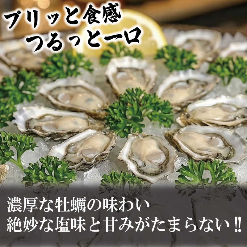 【先行予約】 牡蠣 生牡蠣 殻付き 40個 生食可 冷蔵 (ナイフ付き) ラブリィキャンディ 真牡蠣 かき カキ ブランド 旬 新鮮 海鮮 濃厚 料理 鍋 牡蠣鍋 カキフライ バーベキュー BBQ キャンプ おいしい TV テレビ 徳島県 鳴門