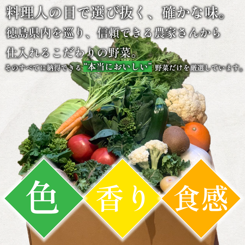 野菜 セット 9～10品 定期便 12回 季節 旬 野菜 詰め合せ 国産 季節 旬 おまかせ 産地直送 春野菜 夏野菜 秋野菜 葉物 果物 果菜 根菜 冷蔵 野菜室 ダイエット 食 栄養食 加工品 カット野菜