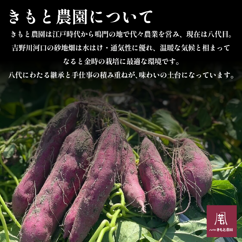 なると金時 5kg Lサイズ 野菜 さつまいも 焼き芋 芋 鳴門金時 なると金時 ヤサイ やさい 食材 新鮮 旬 産地直送 徳島 鳴門