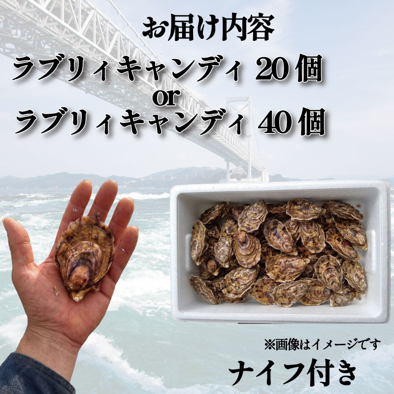 【先行予約】 牡蠣 生牡蠣 殻付き 40個 生食可 冷蔵 (ナイフ付き) ラブリィキャンディ 真牡蠣 かき カキ ブランド 旬 新鮮 海鮮 濃厚 料理 鍋 牡蠣鍋 カキフライ バーベキュー BBQ キャンプ おいしい TV テレビ 徳島県 鳴門