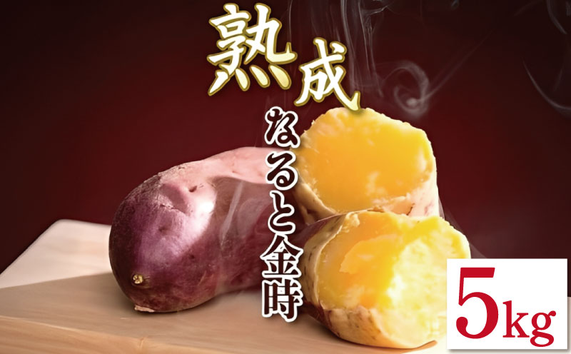 なると金時 5kg Mサイズ 野菜 さつまいも 焼き芋 芋 鳴門金時 なると金時 ヤサイ やさい 食材 新鮮 旬 産地直送 徳島 鳴門