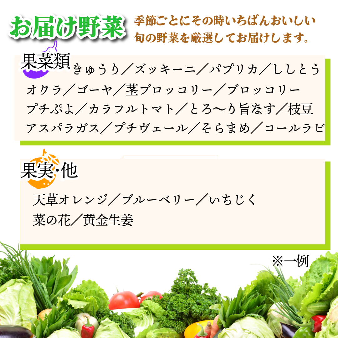 野菜 セット 9～10品 定期便 4回 季節 旬 野菜 詰め合せ 国産 季節 旬 おまかせ 産地直送 春野菜 夏野菜 秋野菜 葉物 果物 果菜 根菜 冷蔵 野菜室 ダイエット 食 栄養食 加工品 カット野菜