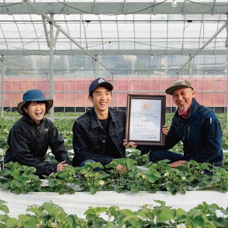 いちご 苺 中粒36粒 1月中旬から5月末まで発送 2段箱 オーガニック 高級 あま 甘い 果物 フルーツ デザート 赤 お歳暮 ギフト 箱 贈答 プレゼント 自宅 旬 スイーツ クリスマス ケーキ ベリー ミルク 先行予約 年 日 品種 有機JAS ふるさと 徳島 とくしまオーガニックいちご中粒2段箱