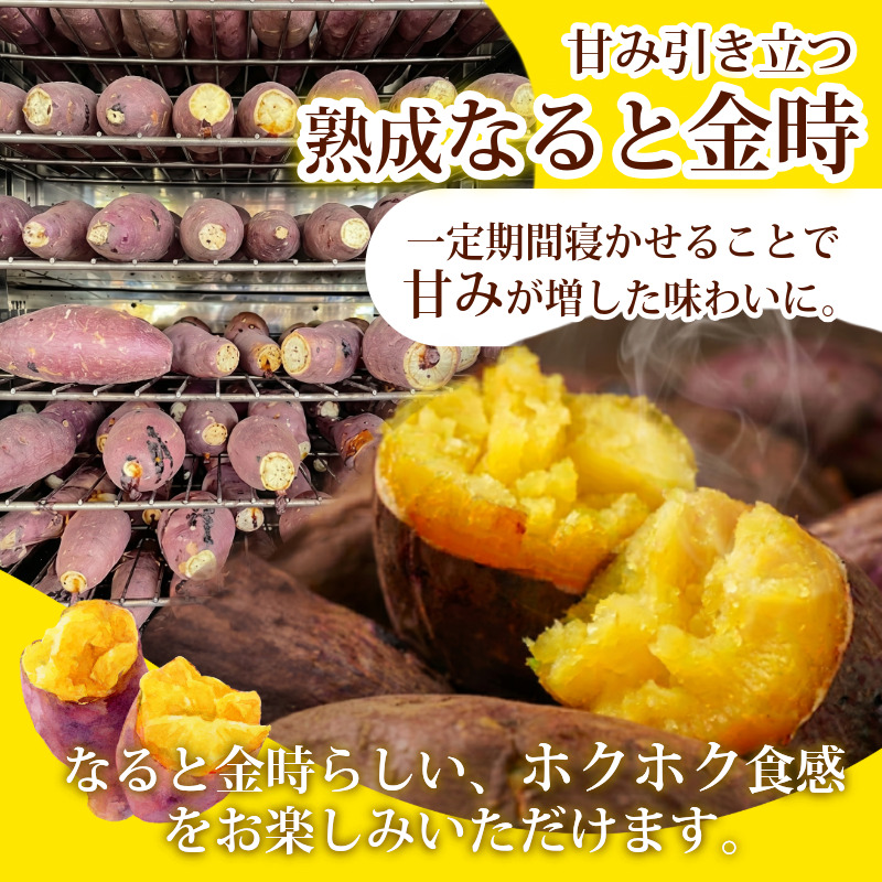 訳あり なると金時 5kg 熟成 さつまいも 鳴門金時 いも 芋 焼き芋 干し芋 スイーツ 貯蔵庫 熟成いも 国産 お土産 徳島 鳴門 