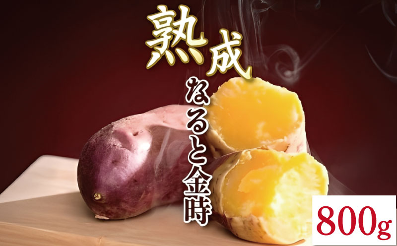 なると金時 800g Sサイズ 野菜 さつまいも 焼き芋 芋 鳴門金時 なると金時 ヤサイ やさい 食材 新鮮 旬 産地直送 徳島 鳴門