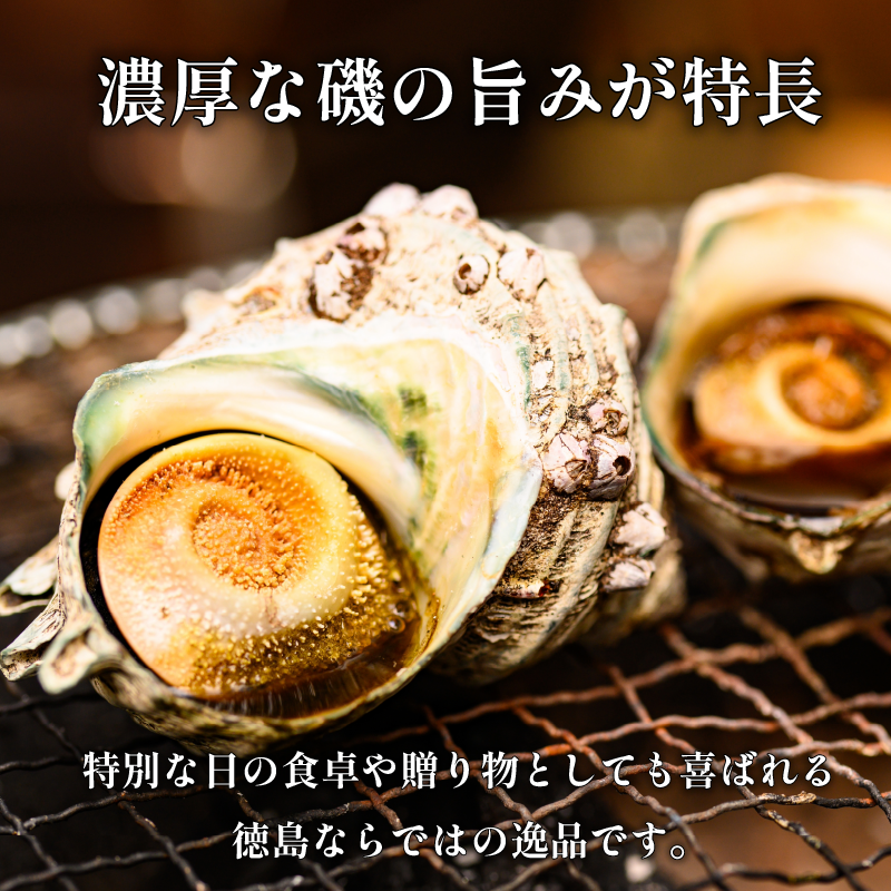 繧オ繧カ繧ィ 2kg 縺輔*縺 雋 雋晞。 譬陞コ 魄ョ鬲 豬キ魄ョ 鬲壻サ 蛻コ霄ォ 辟シ縺咲黄 豎∫黄 縺輔*縺医#鬟ッ 螢コ辟シ縺 縺、縺シ 豁」譛 縺翫○縺。 繧ョ繝輔ヨ 雍育ュ 雍医j迚ゥ 逾昴> 豁ウ證ョ 荳ュ蜈 蟷エ譛ォ 蟷エ蟋 繝舌シ繝吶く繝・繝シ BBQ sazae 蠕ウ蟲カ 髦ソ蜊