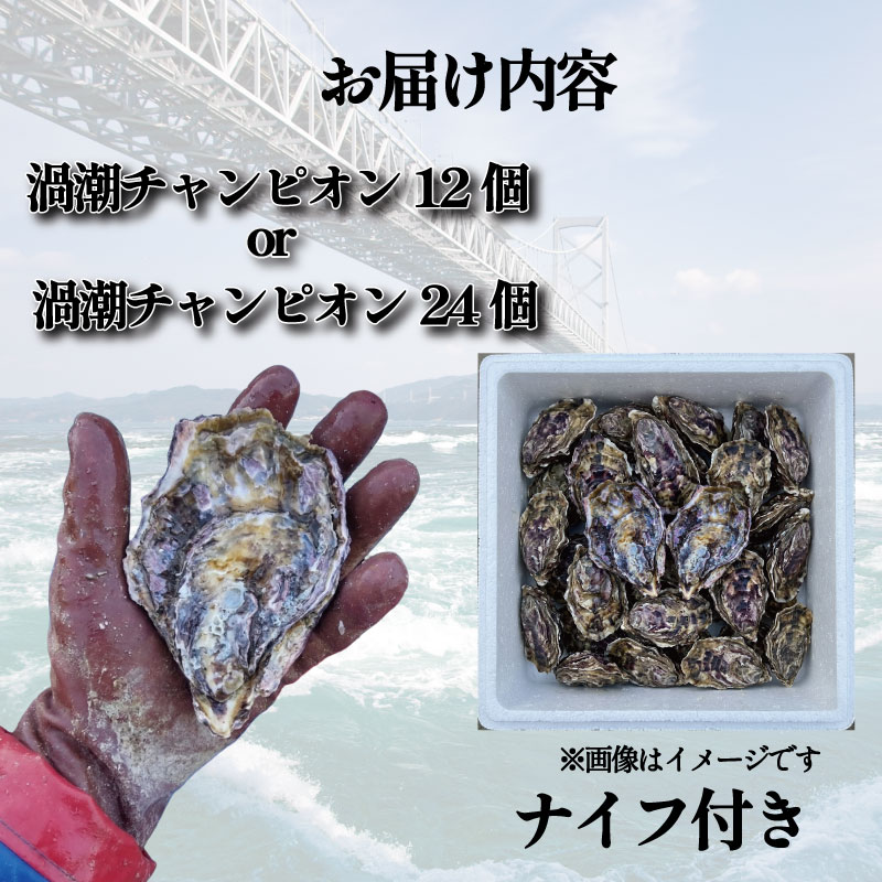 【2026年9月~2026年12月まで発送】 牡蠣 生牡蠣 殻付き 24個 生食可 冷蔵 (ナイフ付き) 渦潮チャンピオン 真牡蠣 かき カキ ブランド 旬 新鮮 海鮮 濃厚 料理 鍋 牡蠣鍋 カキフライ バーベキュー BBQ キャンプ おいしい TV テレビ 徳島県 鳴門
