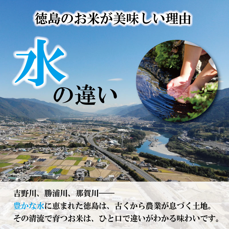 コシヒカリ 10kg 令和7年産 徳島県産 米 お米 国産 白飯 ご飯 精米 白米 こしひかり こめ コメ おこめ おむすび おにぎり 弁当 美味しい 徳島