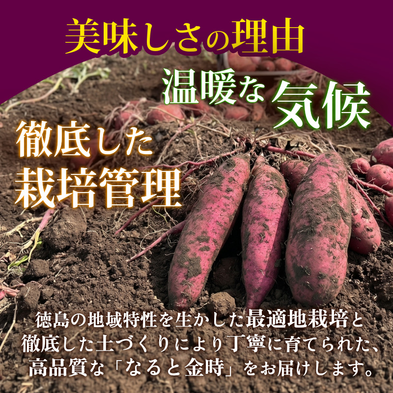 訳あり なると金時 5kg 熟成 さつまいも 鳴門金時 いも 芋 焼き芋 干し芋 スイーツ 貯蔵庫 熟成いも 国産 お土産 徳島 鳴門 