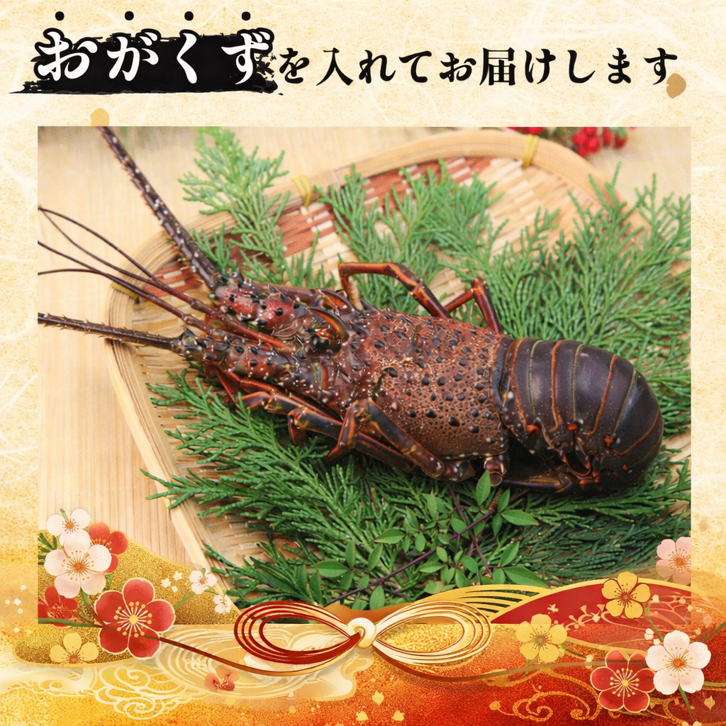 伊勢海老 300g 3尾 《徳島の伊勢海老は身詰まりが良い！》 えび エビ 高級 伊勢 伊勢えび 鮮魚 海鮮 魚介 刺身 焼き物 汁物 イセエビ 海老 正月 おせち ギフト 贈答 贈り物 徳島 阿南 【年末年始 発送対応可能です！】