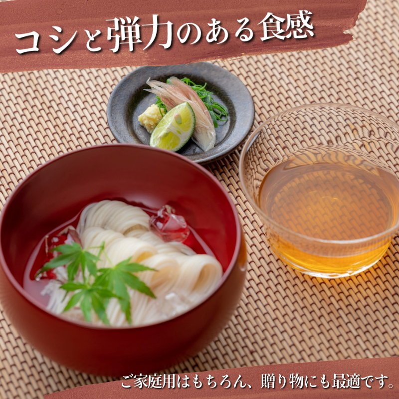 そうめん 半田そうめん 48束 そうめん 入魂 手延べ 素麺 麺 乾麺 贈り物 お中元 お歳暮 ギフト 贈答 冬季発送 徳島県 つるぎ町