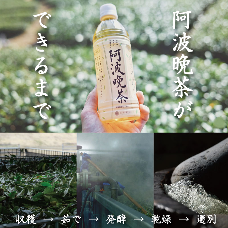 髦ソ豕「譎ゥ闌カ 繝壹ャ繝医懊ヨ繝ォ 12譛ャ シ1譛ャ500ml蜈・繧奇シ 縺願幻 譎ゥ闌カ 逡ェ闌カ 闌カ闡 譛ャ譬シ 髦ソ豕「譎ゥ闌カ 100シ 蛛・蠎キ闌カ 逋コ驟オ 莨晉オア 縺雁悄逕」 髦ソ豕「 蠕ウ蟲カ 髦ソ蜊怜ク 縺ッ縺ェ縺懊s