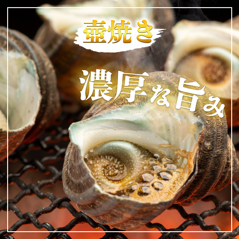 繧オ繧カ繧ィ 2kg 縺輔*縺 雋 雋晞。 譬陞コ 魄ョ鬲 豬キ魄ョ 鬲壻サ 蛻コ霄ォ 辟シ縺咲黄 豎∫黄 縺輔*縺医#鬟ッ 螢コ辟シ縺 縺、縺シ 豁」譛 縺翫○縺。 繧ョ繝輔ヨ 雍育ュ 雍医j迚ゥ 逾昴> 豁ウ證ョ 荳ュ蜈 蟷エ譛ォ 蟷エ蟋 繝舌シ繝吶く繝・繝シ BBQ sazae 蠕ウ蟲カ 髦ソ蜊