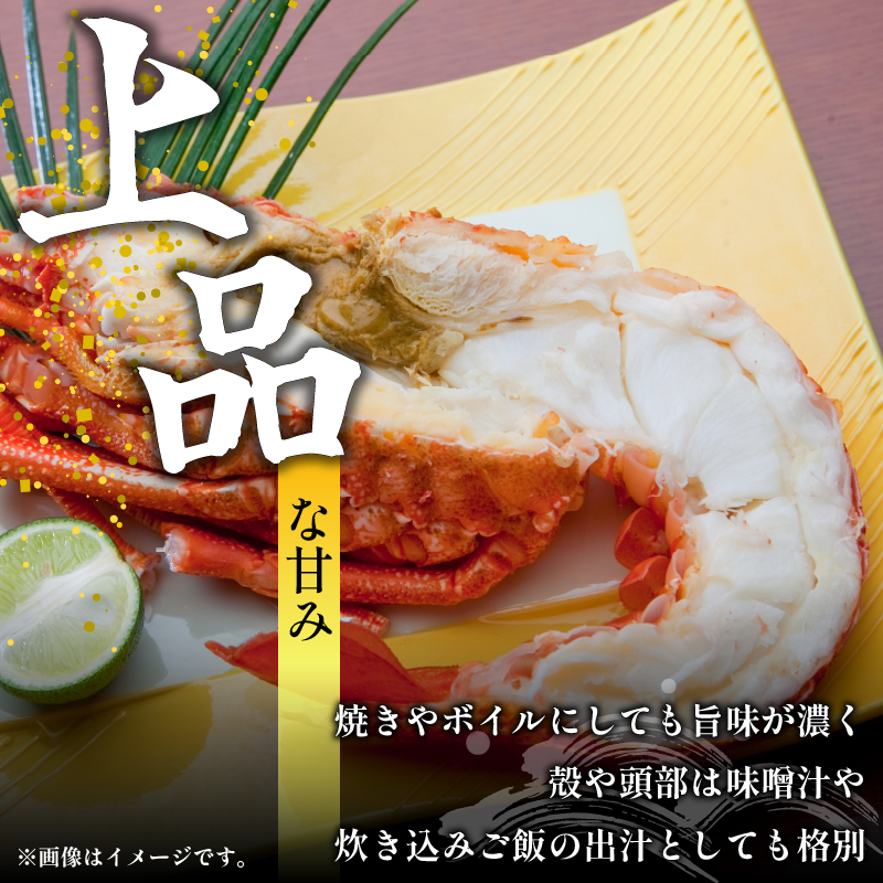 伊勢海老 200g 3尾 えび エビ 高級 伊勢 伊勢えび 鮮魚 海鮮 魚介 刺身 焼き物 汁物 イセエビ 海老 正月 おせち ギフト 贈答 贈り物 祝い 歳暮 中元 年末 年始 ebi 徳島 阿南 【年末年始 発送対応可能です！】