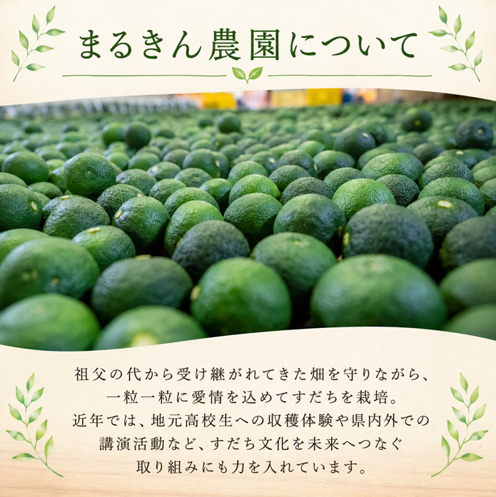 èš³ãã ãã ã¡ 3kg ãã ã¡ ã9æã®ã¿çºéã 埳島çç£ ã¹ãã é
¢æ© ãã ã¬ã¢ã³ ã®ä»£ããã« çŒãé ãã㟠ãã€ã åºèº« åæã ãããã ãé
ã«æé© åŸ³å³¶ç ç¥å±±çº