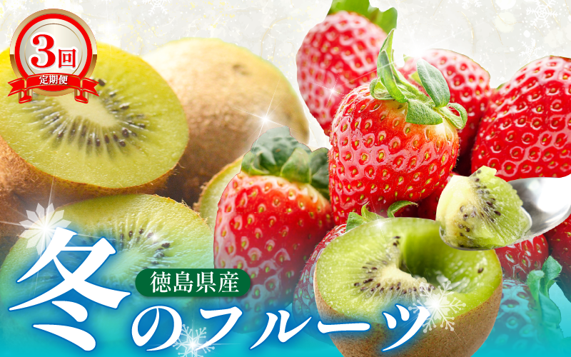 フルーツ 定期便 全3回 いちご キウイ 紅ほっぺ さちのか ギフト 果物 冬 徳島県産 産地直送 新鮮 3ヶ月