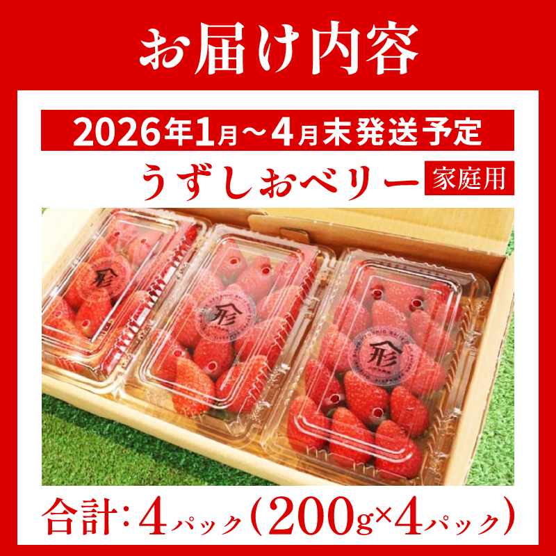 いちご 苺 4パック 800g 2026年1月～4月末まで発送 うずしおベリー 果物 フルーツ デザート 旬 新鮮 季節 冬 人気 ケーキ おすすめ ギフト プレゼント 贈答 家庭用 先行予約 送料無料 徳島