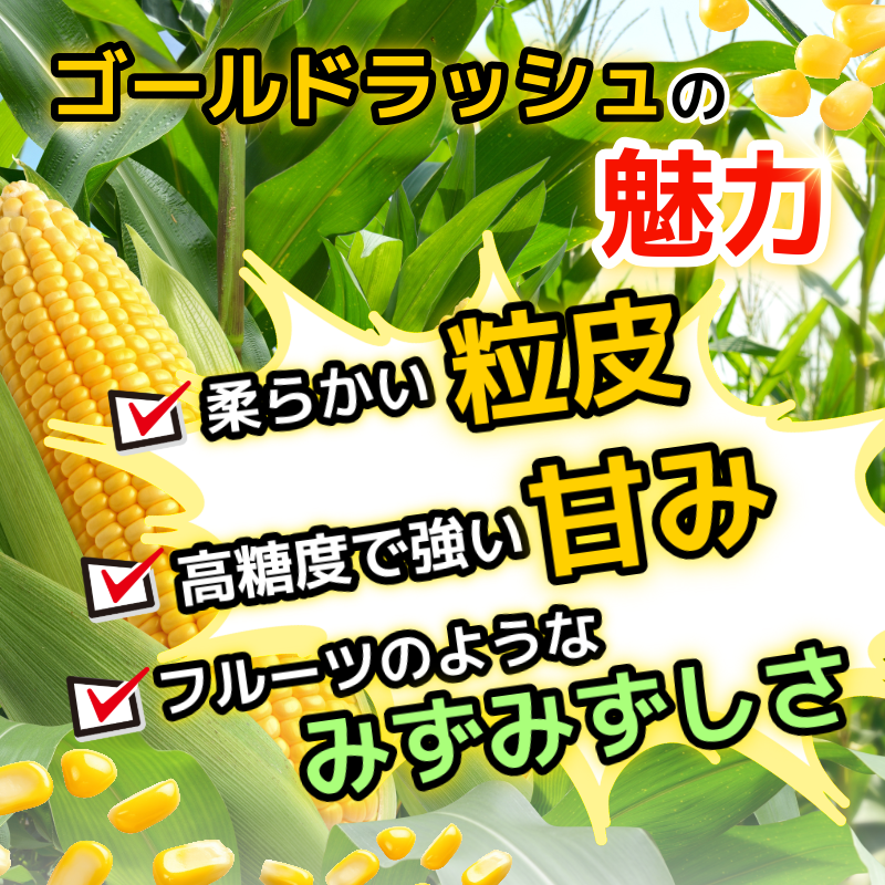 ã6æäžæ¬ããé æ¬¡çºéãããšããããã ãŽãŒã«ãã©ãã·ã¥ 12kgä»¥äž éžã¹ã 容é å³éž æ°é®® çã ç åœç£ éè ã¹ã€ãŒãã³ãŒã³ ããŒããã¥ãŒ BBQ ã³ãŒã³ æ¬ åŸ³å³¶ç