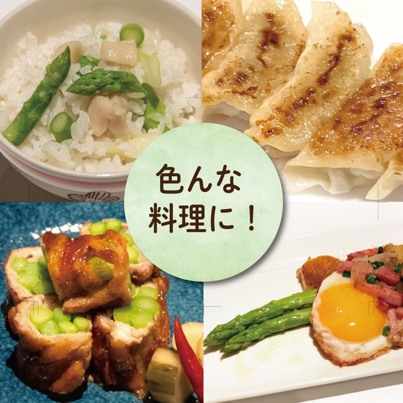 アスパラガス Mサイズ 1kg 《3月から出荷開始！》 アスパラ 朝採れ 弁当 野菜 グリーンアスパラ サラダ ベーコン 豚肉 巻き 甘い 国産 春野菜 新鮮 せいくらべ 徳島 阿南