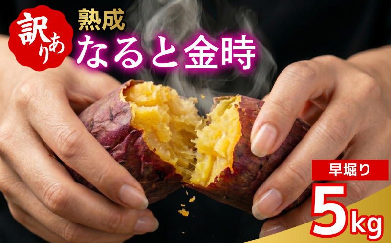 訳あり なると金時 5kg 早掘り さつまいも 鳴門金時 いも 芋 焼き芋 干し芋 スイーツ 貯蔵庫 熟成いも 国産 お土産 徳島 鳴門
