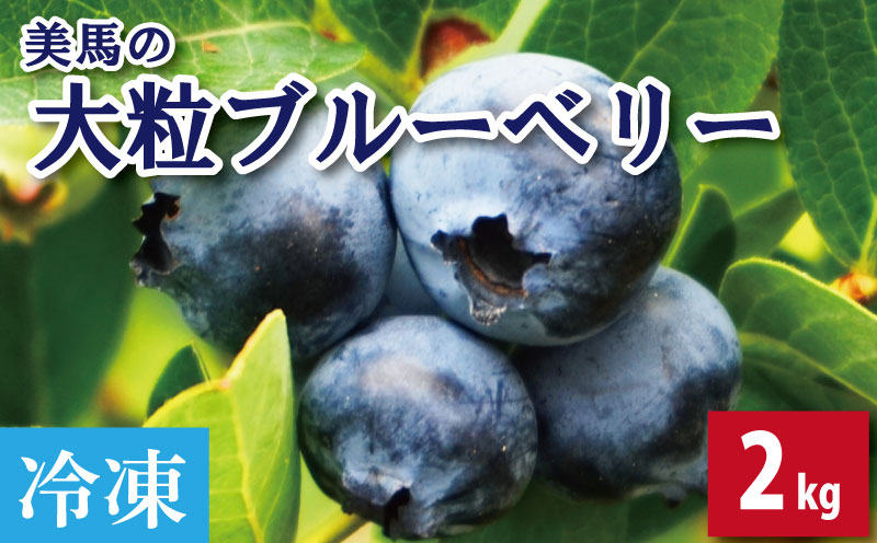 ブルーベリー 大粒 2kg 冷凍 果物 フルーツ デザート 旬 新鮮 季節 夏 人気 ケーキ おすすめ ギフト プレゼント 贈答 贈り物 家庭用 期間限定 送料無料 美馬 徳島