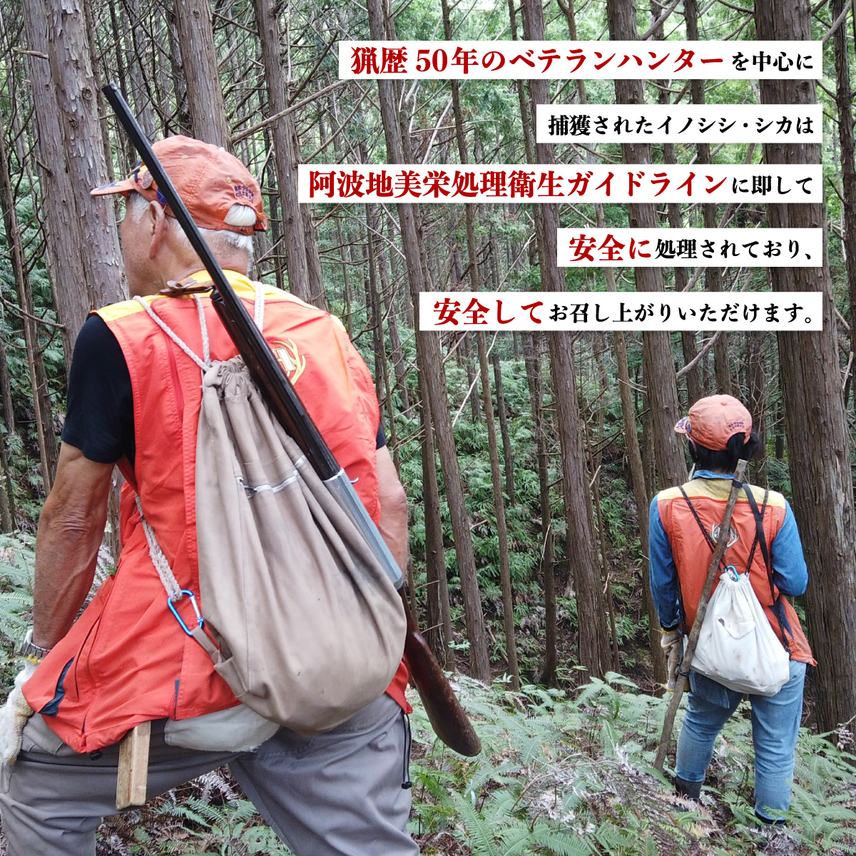 ãžããš é£ã¹æ¯ã¹ ã»ãã çªè 鹿è ã¢ã¢ èš1.2kg ã»ãã 鹿è ããã㯠600g çª ã¹ã©ã€ã¹600g è çª ãã®ãã ã€ãã·ã· 鹿 ãã ã·ã« å·å é¿æ³¢ãžããš é¿æ³¢å°çŸæ ããªãŒã ããŒã