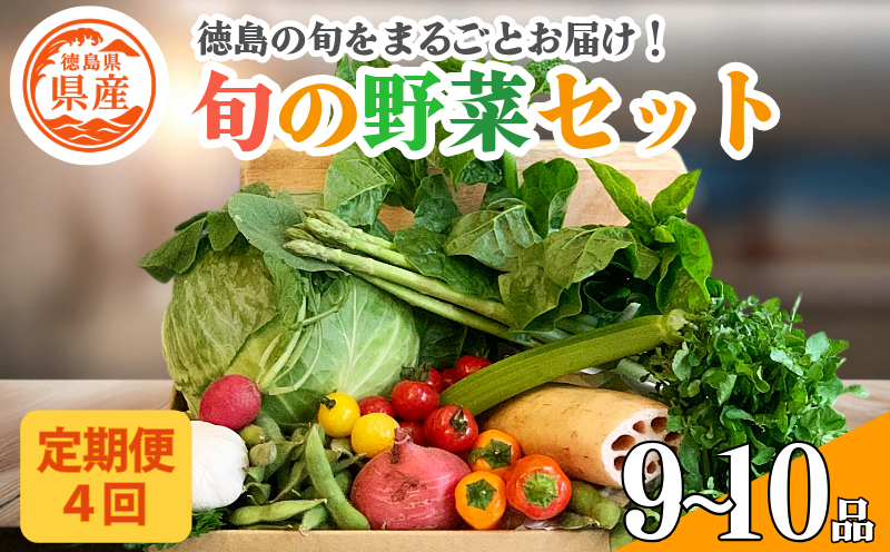 野菜 セット 9～10品 定期便 4回 季節 旬 野菜 詰め合せ 国産 季節 旬 おまかせ 産地直送 春野菜 夏野菜 秋野菜 葉物 果物 果菜 根菜 冷蔵 野菜室 ダイエット 食 栄養食 加工品 カット野菜