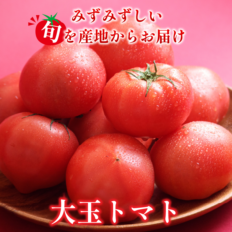 トマト 2kg 大玉 とまと 4月～6月発送 野菜 やさい 国産 産地直送 数量限定 旬 徳島県産 tomato サラダ おすすめ 徳島県