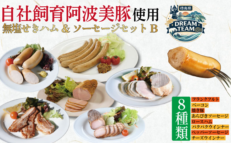無塩せき ハム ソーセージ 8種 セットB ウインナー ペッパーソーセージ ぱくぱくウィンナー あらびきソーセージ チーズインウィンナー フランクフルト ロースハム ベーコン 焼き豚 徳島県産 プレゼント ギフト 冷凍 鍋 惣菜 おかず 肉 豚 粗挽き 小分け お試し ドリームチーム
