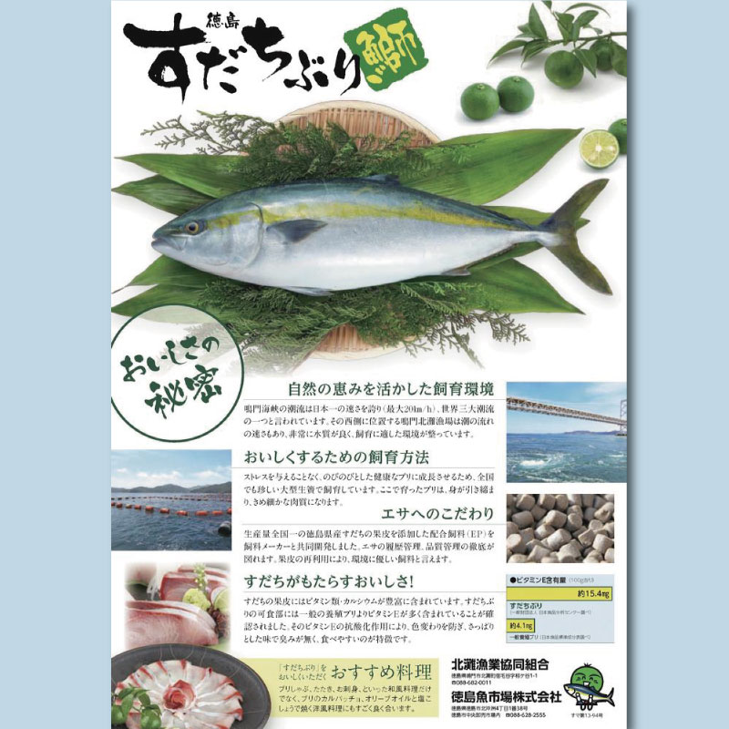 すだちぶり 2柵 カマいり 《 冷蔵発送！すぐに食べられる！》 10月から11月末まで発送 すだち ぶり 鰤 刺身 ぶりしゃぶ 切り身 さしみ しゃぶしゃぶ かぼすぶり に負けない 下処理済み 徳島 鳴門 なると