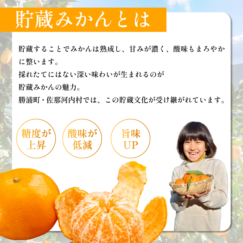 みかん 訳あり 4.2kg 4kg+傷み補償分200g 熟成 柑橘 フルーツ 果物 みかん ミカン みかん 蜜柑 訳ありみかん 家庭用 オレンジ 1万円未満 徳島県 勝浦町 佐那河内村 5000円以下 5000円