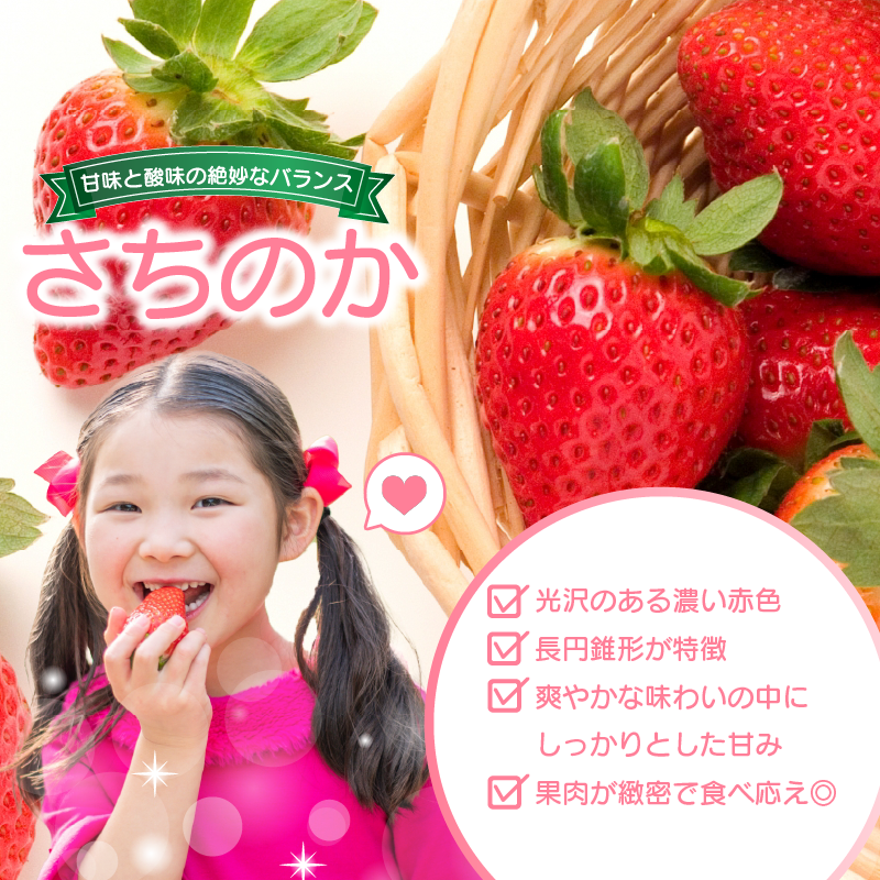 いちご 1㎏ さちのか 苺 イチゴ ストロベリー 数量限定 徳島県産 ichigo strawberry itigo 1月下旬より順次出荷 徳島県 