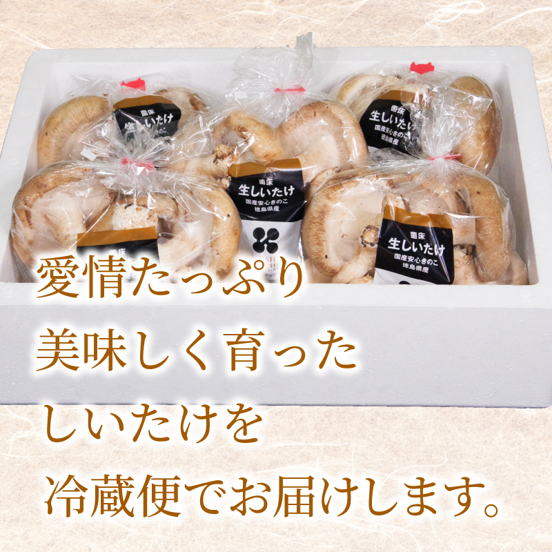 しいたけ 菌床生しいたけ 1kg きのこ 肉厚 生 椎茸 濃厚 家庭用 おかず 野菜 料理 調理 健康食品 健康 冷蔵 国産 徳島