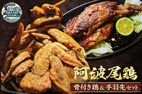 骨付鳥 手羽先 阿波尾鶏 12本セット 骨付き鳥 骨付き鶏 骨付き 鶏肉 肉 骨付き肉 手羽先鶏 味付き スパイス 温めるだけ おかず ディナー 誕生日 記念日 パーティー グルメ お取り寄せ おすすめ 藍住町 徳島県 ドリームチーム