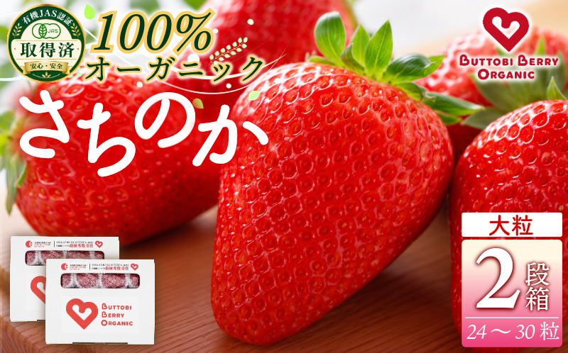 オーガニック いちご 大粒 約24～30粒 《1月末から5月発送》 有機JAS認証 ORGANIC 甘い 苺 果物 フルーツ 産地直送 新鮮 ストロベリー ジャム スムージー 期間限定 徳島