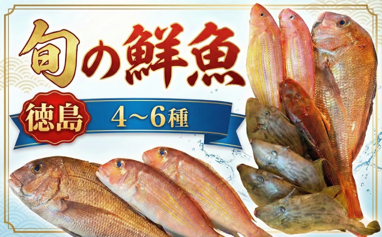 鮮魚BOX 4～6種 刺身 刺し身 旬 海鮮 鮮魚 魚介 焼き 煮付け 炙り カルパッチョ 寿司 丼 おつまみ おかず ご飯に合う 米に合う コメに合う 家庭用 父の日 高級 冷蔵 徳島 馬地鮮魚