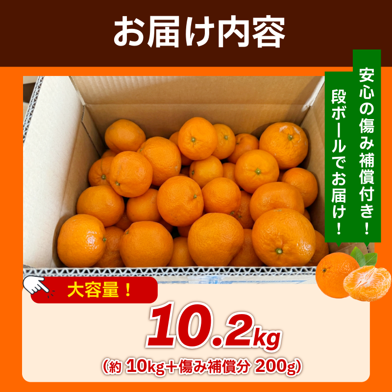みかん 訳あり 10.2kg 10kg+傷み補償分200g 熟成 柑橘 フルーツ 果物 みかん ミカン みかん 蜜柑 訳ありみかん 家庭用 オレンジ 徳島県 勝浦町 佐那河内村