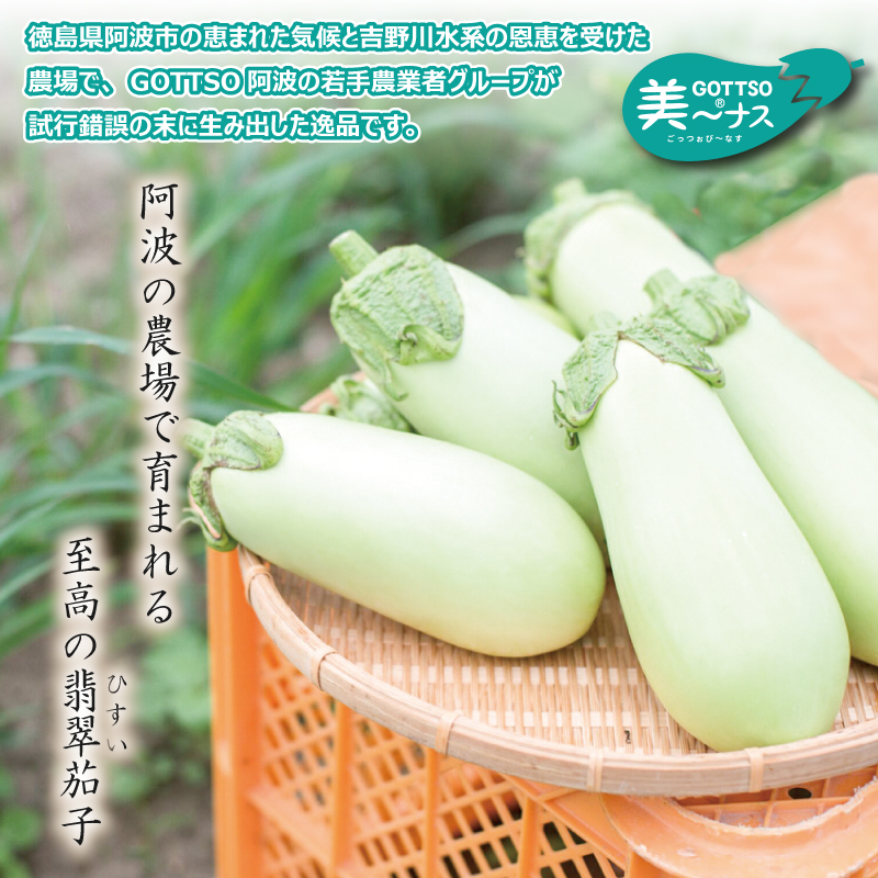 白ナス 美～ナス 1箱 12本 2026年 7月から10月末まで発送 なす 季節 夏 野菜 新鮮 旬 煮物 炒め物 漬物 鍋 味噌汁 GOTTSO 阿波 徳島