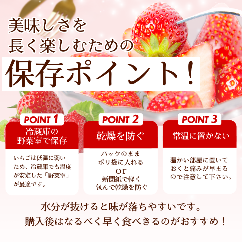 いちご 500g さちのか 苺 イチゴ ストロベリー 数量限定 徳島県産 ichigo strawberry itigo 2月上旬より順次出荷 徳島県 