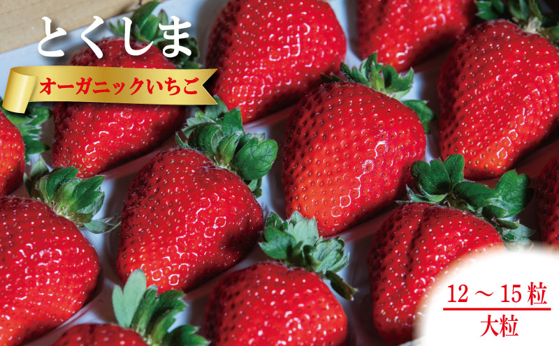 いちご 苺 大粒 12から15粒 1月中旬から5月末まで発送 オーガニック 高級 あま 甘い 果物 フルーツ デザート 赤 お歳暮 ギフト 箱 贈答 プレゼント 自宅 旬 スイーツ クリスマス ケーキ ベリー ミルク 先行予約 年 日 品種 有機JAS ふるさと 徳島 とくしまオーガニックいちご大粒12から15粒