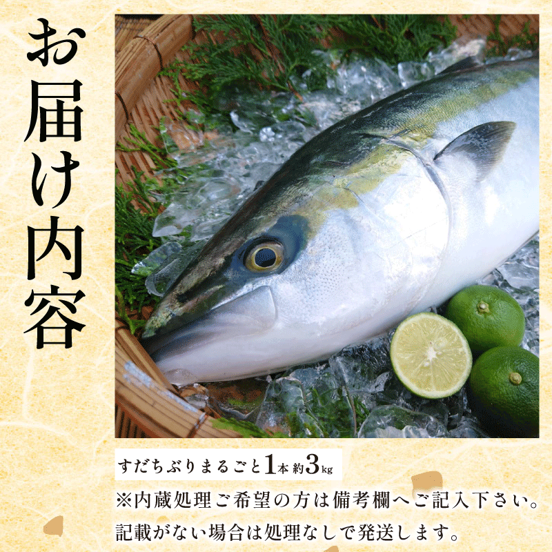 ぶり ラウンド すだちぶり 丸ごと1本 約3kg 冷蔵 徳島 養殖 ブランド鰤 鰤 ブリ お正月 buri 豪華 海鮮 魚 ふるさと納税