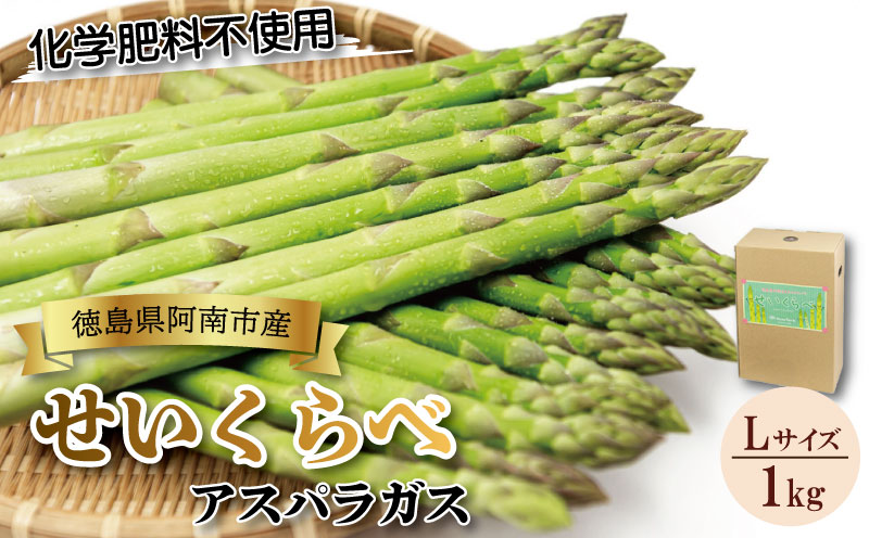 アスパラガス 1kg Lサイズ 2025年 4月～ 発送 せいくらべ アスパラ 季節 春 野菜 新鮮 旬 煮物 炒め物 漬物 鍋 味噌汁 家庭用 弁当 惣菜 おかず 健康 栄養 Anto Farm 阿南 徳島